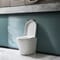 Sanitario Bagno WC Ovale 460x360x565mm con Sedile Copri WC Soft Close - Alswear