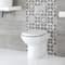 Sanitario WC Filoparete Rotondo con Copriwater Soft-Close - Ashbury