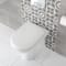 Sanitario WC Filoparete Rotondo con Copriwater Soft-Close - Ashbury