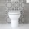 Sanitario WC Filoparete Rotondo con Copriwater Soft-Close - Ashbury