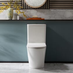 Sanitario Moderno Monoblocco con Sedile con Chiusura Ammortizzata - Scelta della Finitura del Pulsante di Scarico - Colby