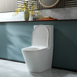 Sanitario Moderno Monoblocco con Sedile con Chiusura Ammortizzata - Scelta della Finitura del Pulsante di Scarico - Colby