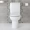 Sanitario WC Monoblocco Rotondo con Copriwater Soft-Close - Ashbury