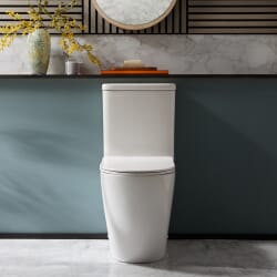 Sanitario Moderno Monoblocco con Sedile a Chiusura Ammortizzata - Scelta della Finitura del Pulsante di Scarico - Brunswick