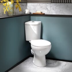 Sanitario Moderno Monoblocco Angolare con Sedile con Chiusura Ammortizzata - Scelta della Finitura del Pulsante di Scarico - Belstone