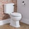 Sedile WC Tradizionale Bianco con Chiusura Rallentata con Cerniere Nere - Richmond