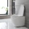 Sanitario Bagno WC Ovale Sospeso Rimless 390x360x550mm con Sedile Copri WC Soft Close -  Ashbury