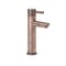 Rubinetto Miscelatore Monoforo per Lavabo - Bronzo Spazzolato - Amara