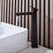 Rubinetto Miscelatore per Lavabo Monoforo Alto Moderno - Nero - Preto