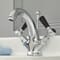 Rubinetto Miscelatore Lavabo Monoforo Design Tradizionale con Maniglie a Leva Disponibile in Diversi Colori - Elizabeth