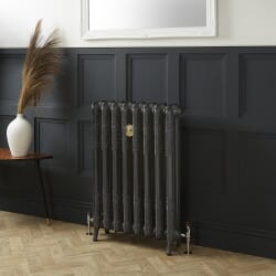 Radiatore Tradizionale in Ghisa a 2 Colonne - Alto 950mm - Finitura Grigio Scuro Railings di Farrow & Ball - Charlotte
