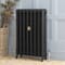 Radiatore Tradizionale in Ghisa Alto 950mm - Nero Ardesia Alto - Disponibile in Diverse Misure - Charlotte