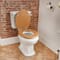 Sanitario in Stile Classico con Cassetta di Scarico e Sedile Color Rovere - Richmond