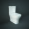 Maxi Sanitario WC Monoblocco senza Brida con Sedile Ammortizzato - Bianco Lucido - Hudson Reed x RAK Resort