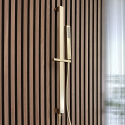 Asta Saliscendi Moderna con Doccetta - Oro Satinato - Lyra