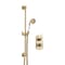 Miscelatore Doccia Termostatico Tradizionale in Oro Satinato con Doccetta Tonda e Asta Saliscendi (1 Via) - Elizabeth