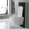 Set Bagno con Sanitario Sospeso e Mobile WC 500 mm Nero - Saru